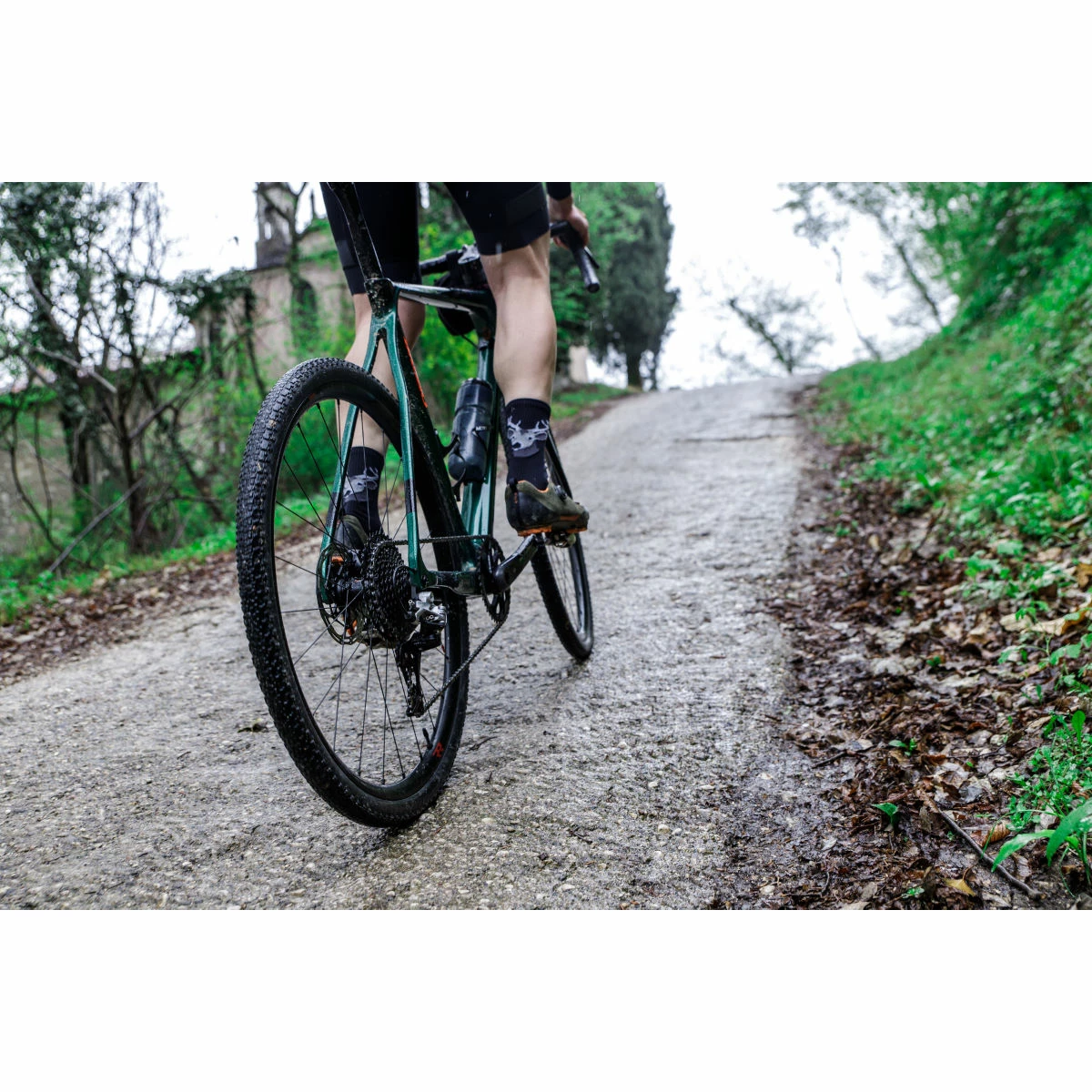 Fulcrum Rapid Red 5 Disc Wheelset 10 Fulcrum Rapid Red 5 Disc Wheelset - Image 8